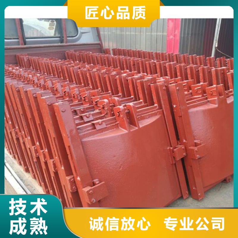 铸铁闸门-组装式整体闸门自动化