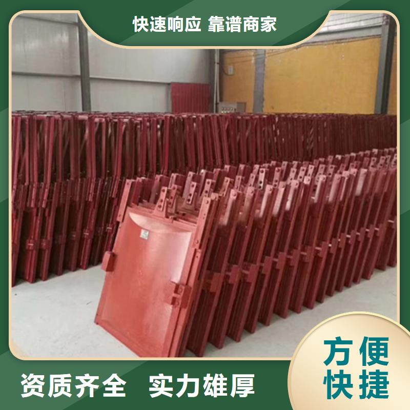 铸铁闸门-铸铁闸门螺杆启闭机终身维护