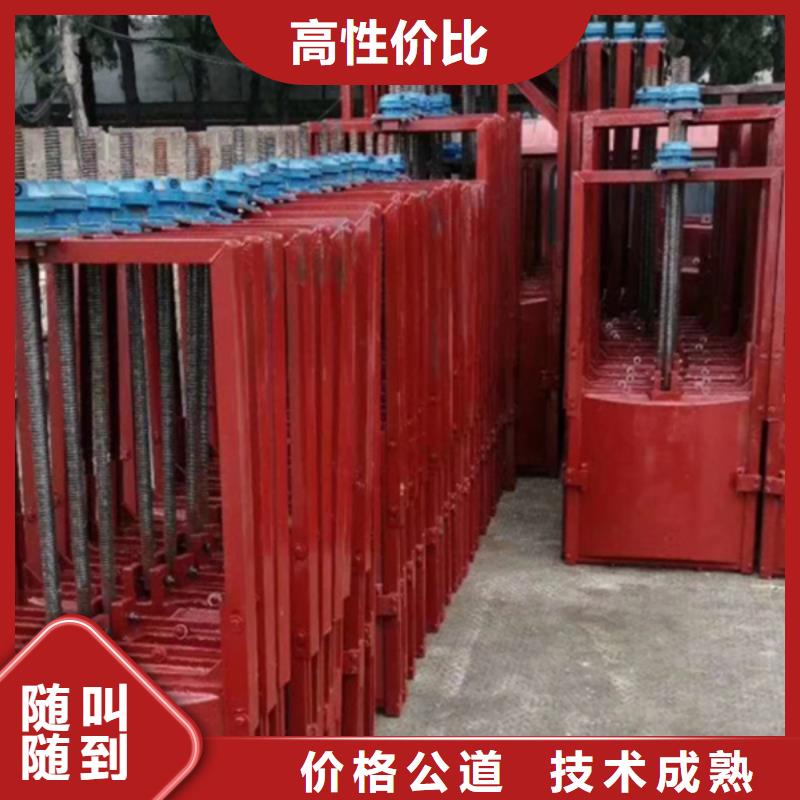 铸铁镶铜闸门-单向止水铸铁闸门经久耐用