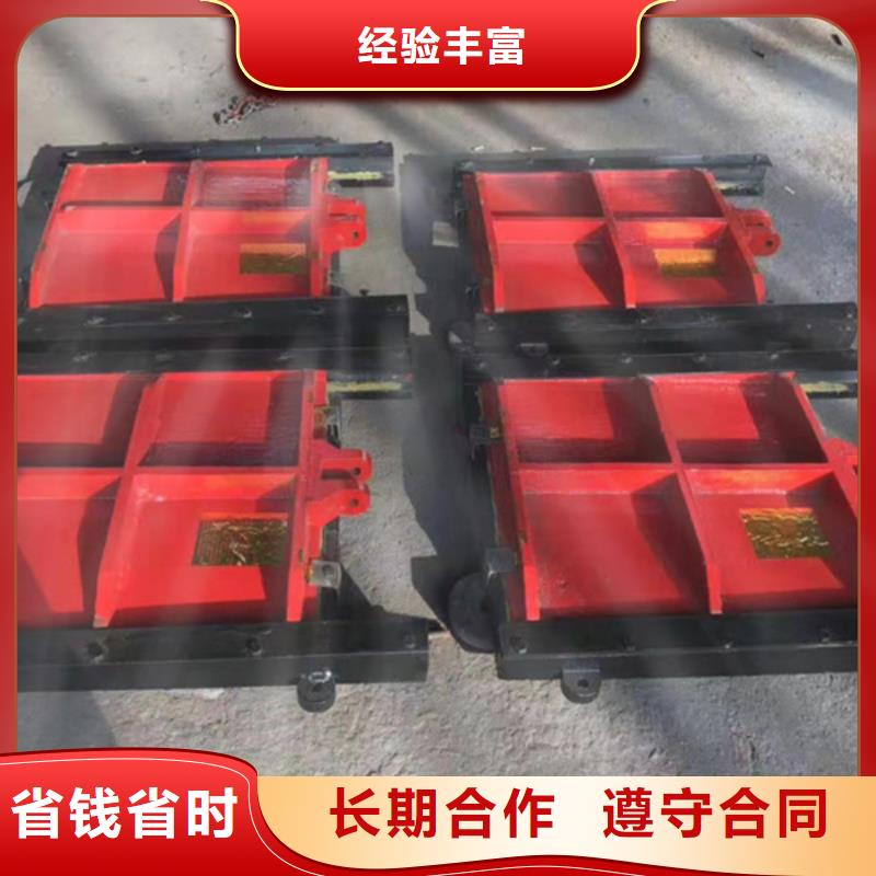 渠道闸门-PGZ渠道铸铁闸门信誉良好