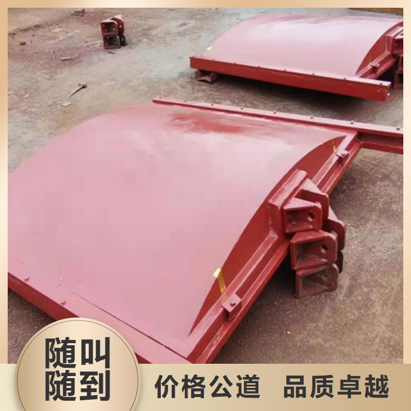 重庆铸铁镶铜闸门实力厂家