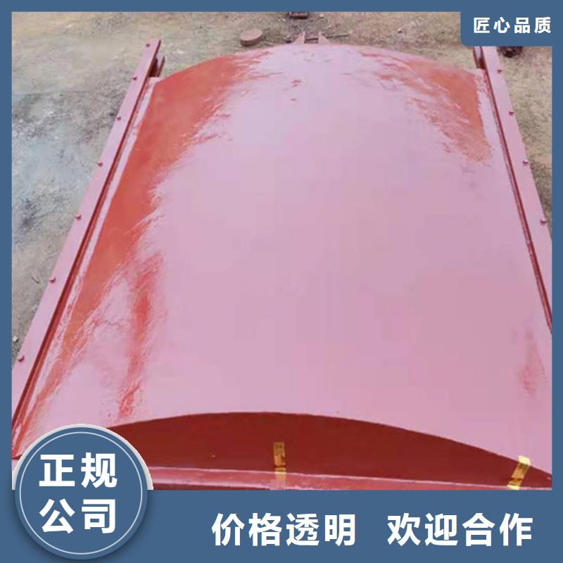 拱型平面铸铁闸门-生产厂家