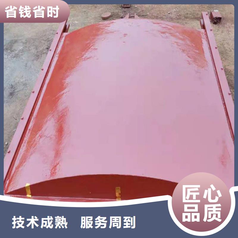 铸铁闸门-平板铸铁镶铜闸门免费安装调试