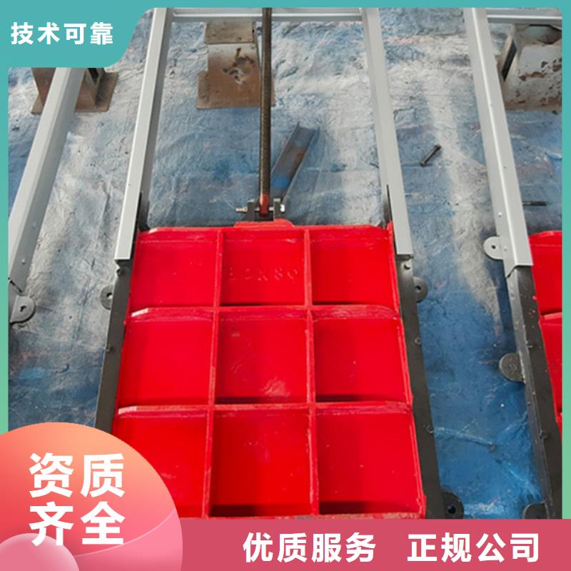 启闭机闸门-方形钢制闸门信誉良好