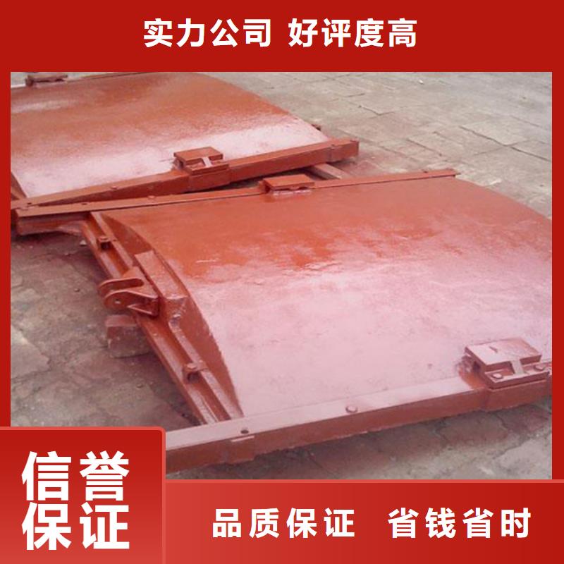 瑞鑫启闭机铸铁闸门清污机钢闸门拍门水工机械厂1.8米*1.6米铸铁闸门合作案例多
