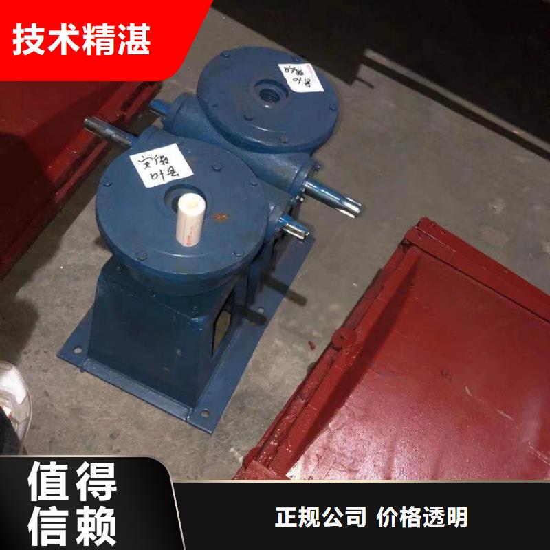铸铁闸门-双向止水铸铁镶铜闸门老牌