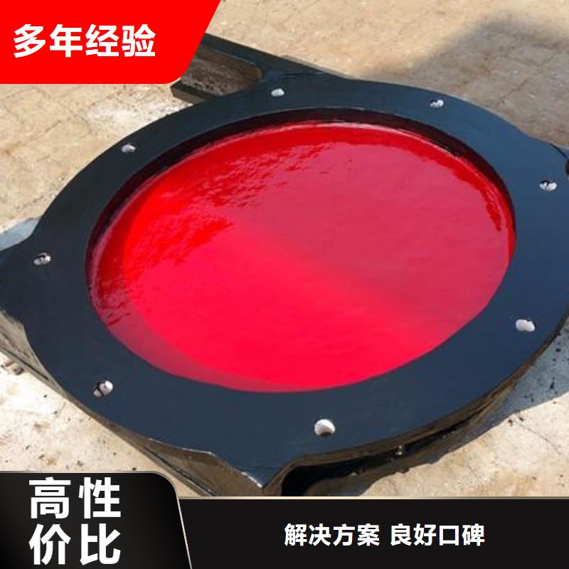 墙式镶铜铸铁圆闸门
