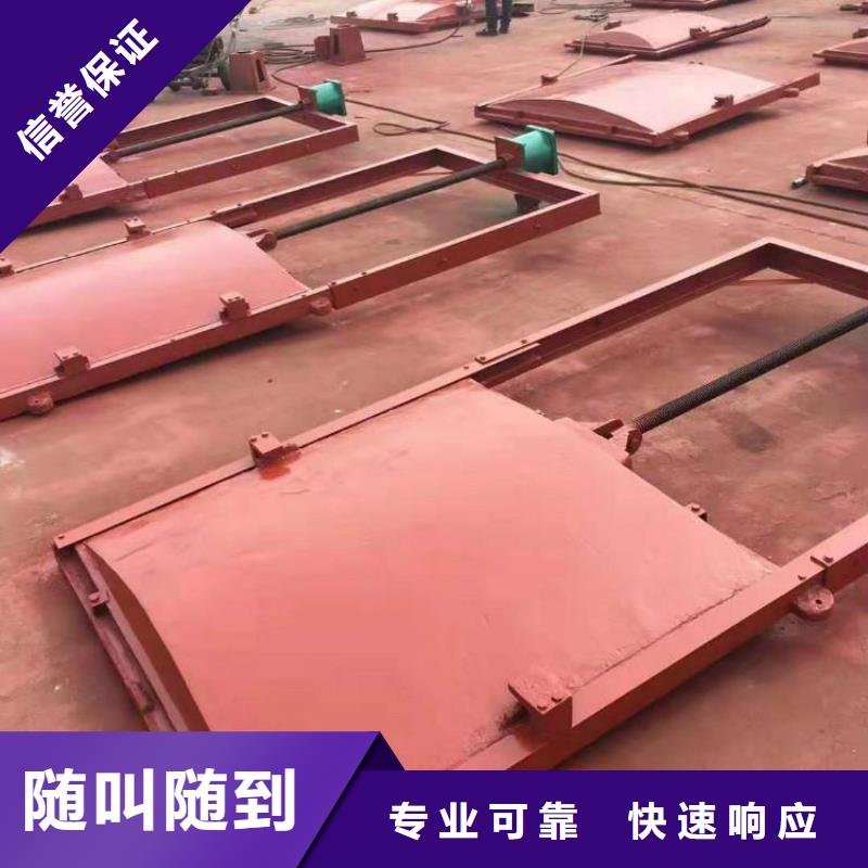 平面拱形闸门-启闭机深水铸铁闸门定制化