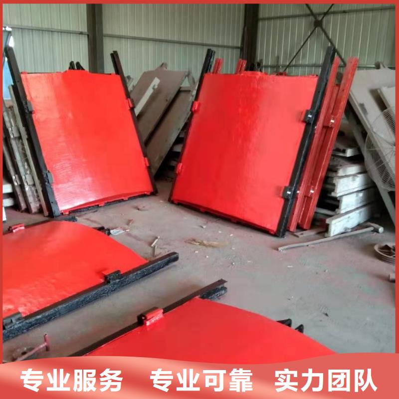 启闭机闸门-pz双向止水铸铁闸门智慧水利