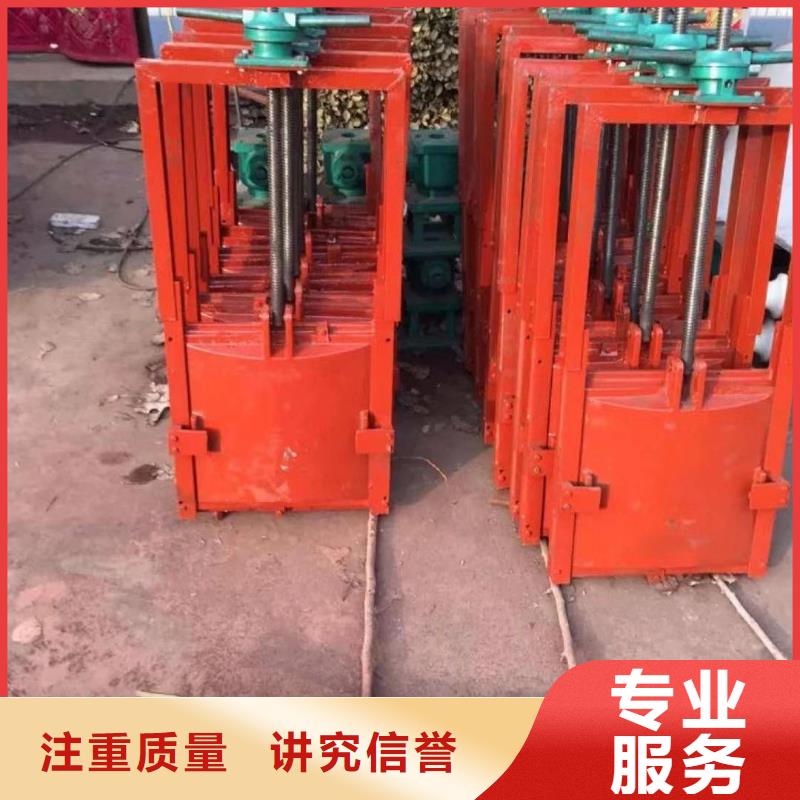 铸铁镶铜闸门-水电站闸门终身维护