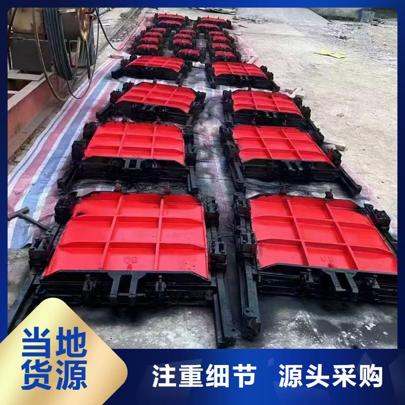 启闭机闸门-pz止水铸铁闸门一站式解决方案