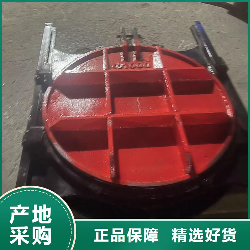 河道铸铁闸门-pz止水铸铁闸门一站式解决方案