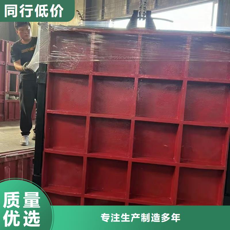 铸铁镶铜闸门-单向止水铸铁闸门经久耐用