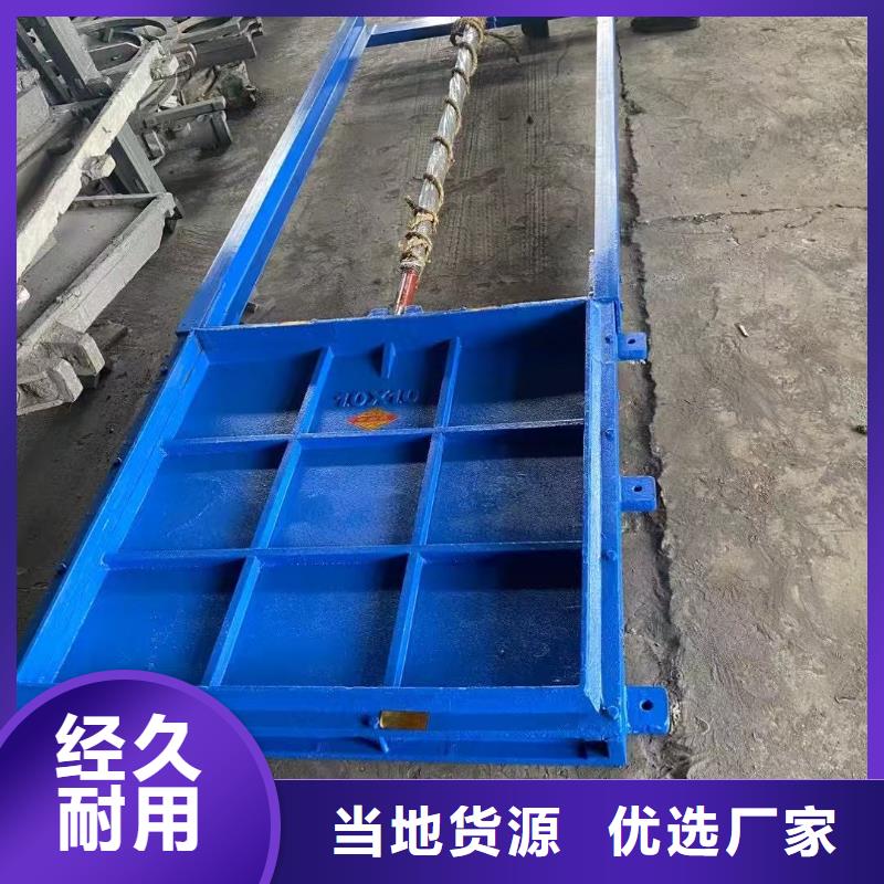 铸铁镶铜闸门-水电站水渠铸铁闸门实力雄厚
