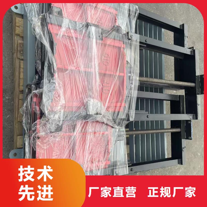 铸铁镶铜闸门现货供应