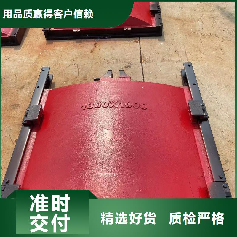 铸铁镶铜闸门品牌-报价_瑞鑫启闭机铸铁闸门清污机钢闸门拍门水工机械厂