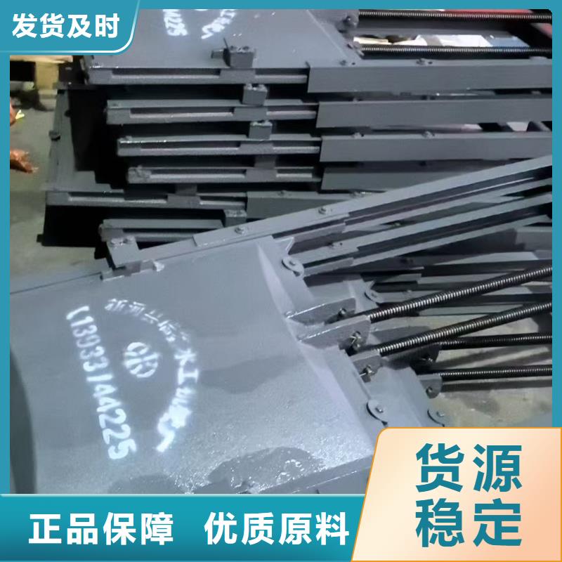 铸铁闸门-启闭机深水铸铁闸门自动化