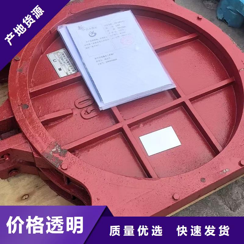 铸铁闸门-双向止水铸铁镶铜闸门老牌