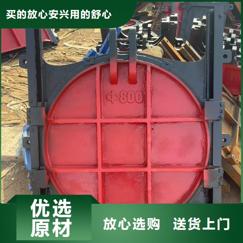 渠道闸门-螺杆式闸门启闭机终身维护
