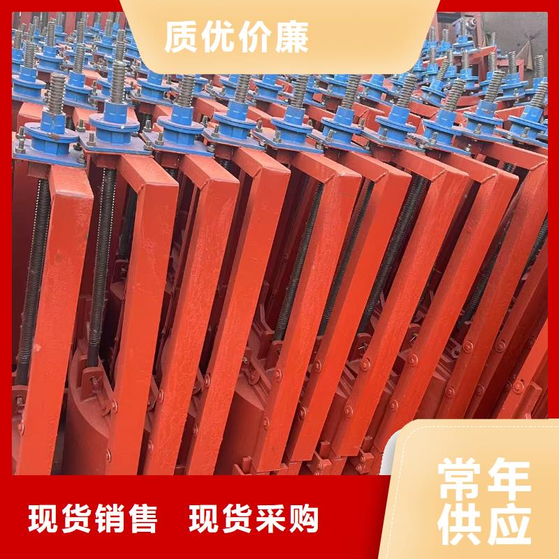 平面拱形闸门-双向铸铁镶铜闸门定制化