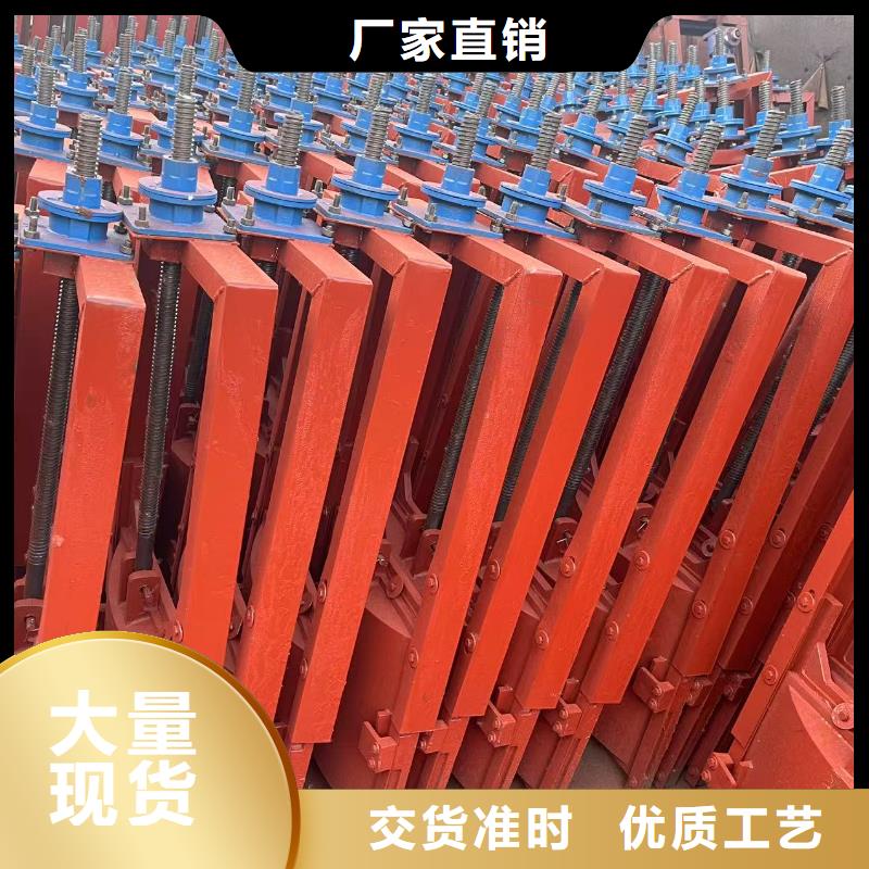 启闭机闸门-平面铸铁闸门24小时售后服务