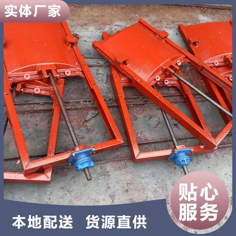 启闭机闸门-pz双向止水铸铁闸门智慧水利