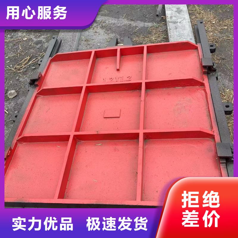 闸门启闭机-水电站启闭机闸门值得信赖