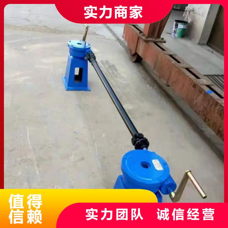 双吊点手电两用启闭机出厂报价