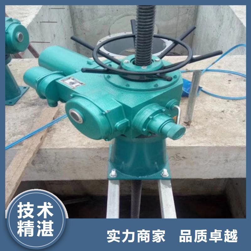 启闭机直连启闭机提供一站式解决方案