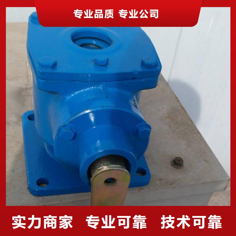 启闭机带遥控螺杆式启闭机打造智能化水利工程