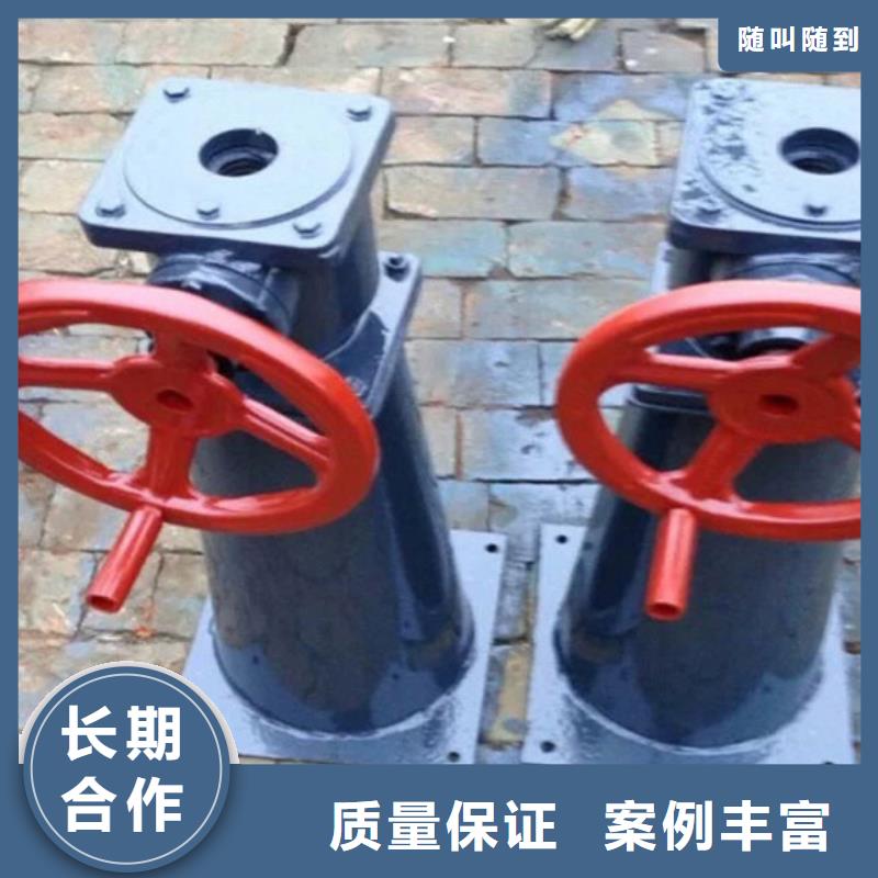 卷扬启闭机电动螺杆式启闭机生产基地