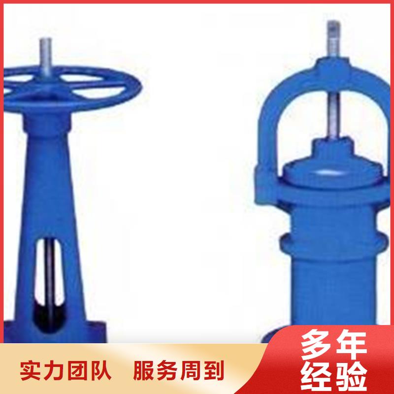 手电两用启闭机_服务优质