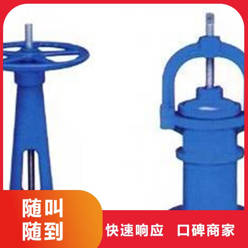 卷扬启闭机10吨手电两用启闭机耐用可靠