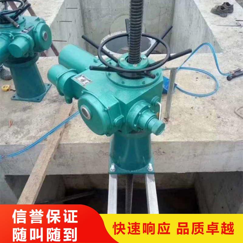 发货及时的QL手电两用启闭机销售厂家