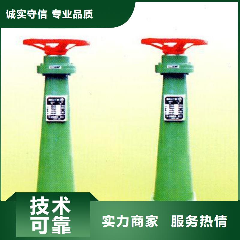买直联式螺杆启闭机选择实体厂家