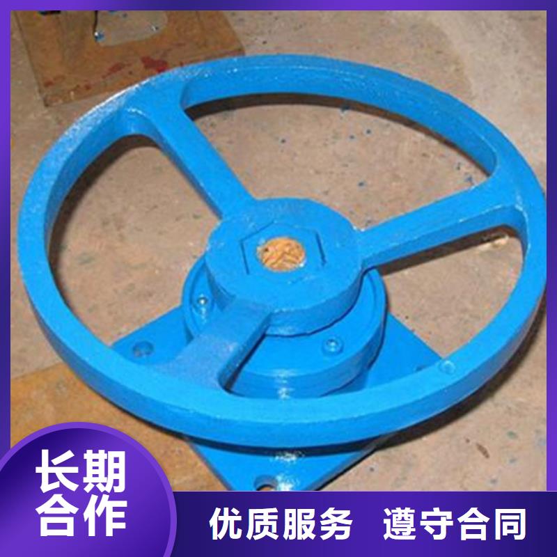 QL双吊点启闭机-QL双吊点启闭机热销