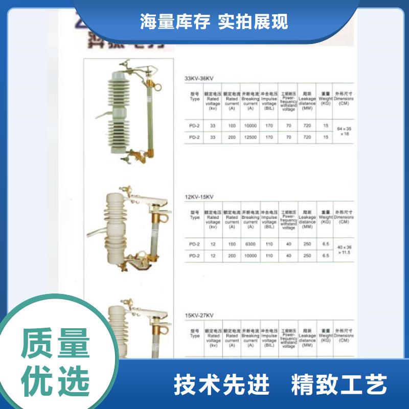 熔断器【避雷器】多年行业经验
