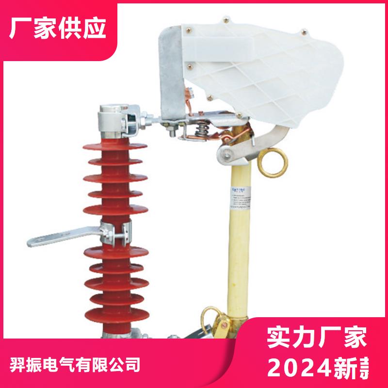 熔断器,电力金具为您精心挑选