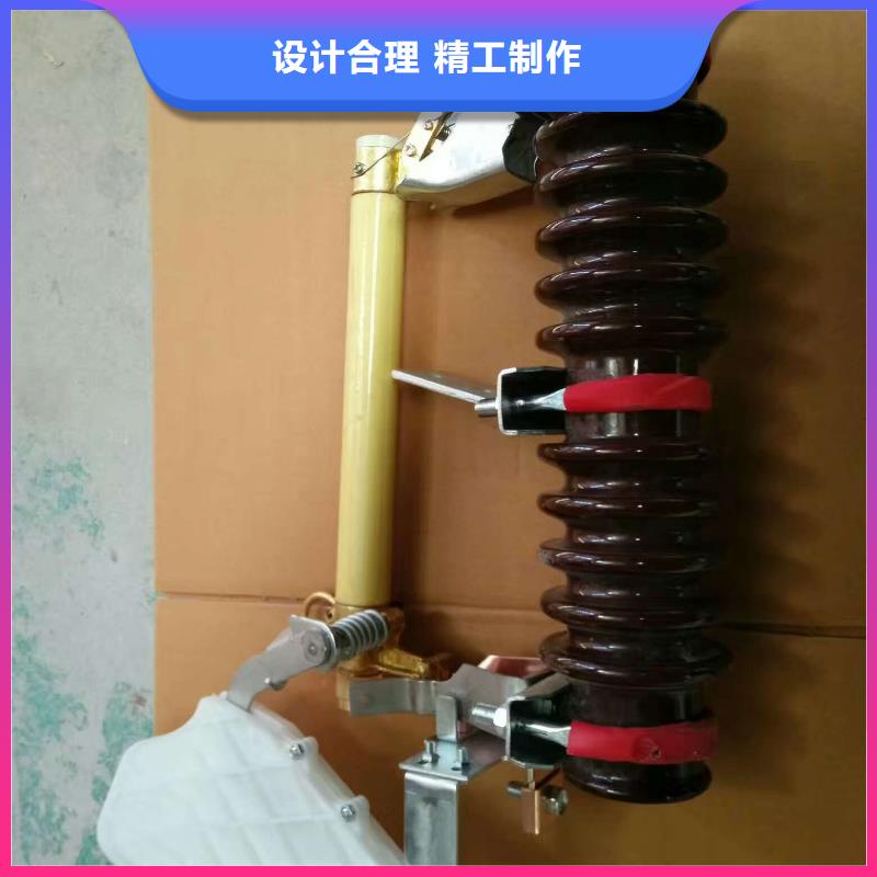 熔断器【避雷器】多年行业经验