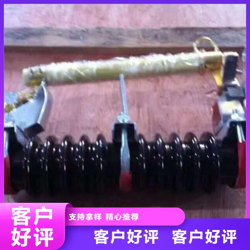 熔断器 绝缘子厂家现货销售