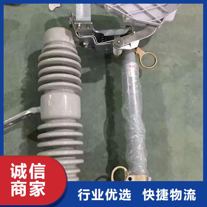 熔断器 绝缘子厂家现货销售