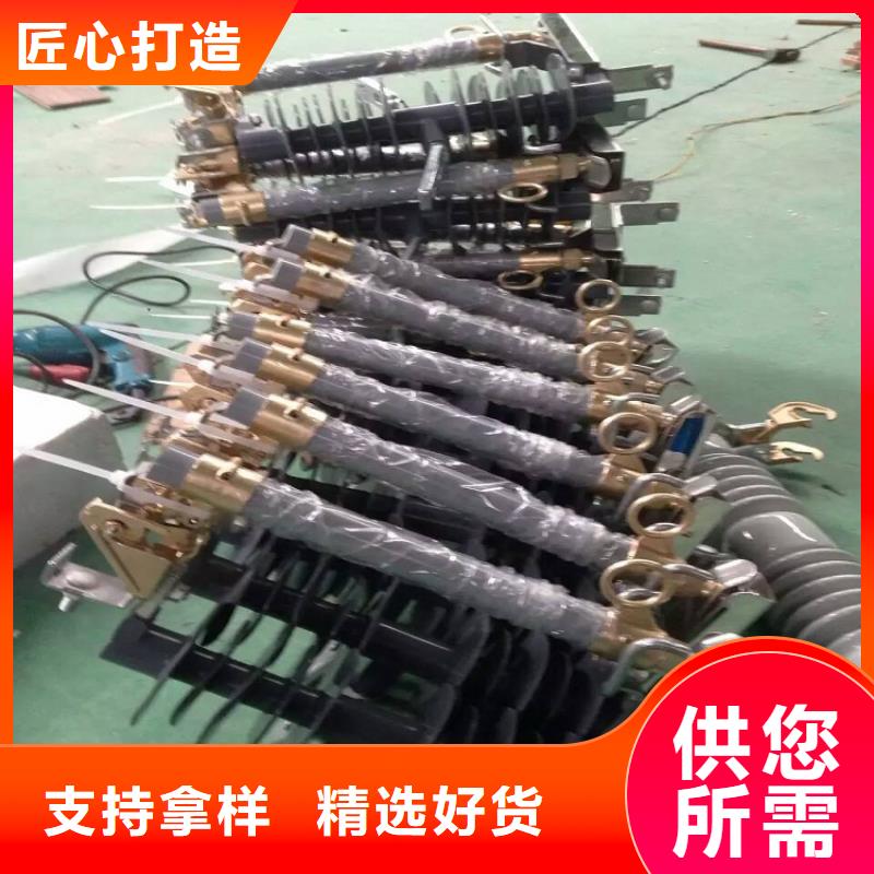 熔断器跌落式熔断器厂家您想要的我们都有