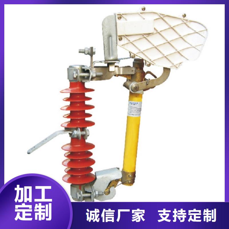熔断器跌落式熔断器厂家您想要的我们都有