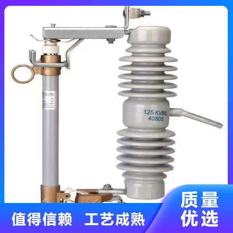 熔断器高压真空断路器今日新品