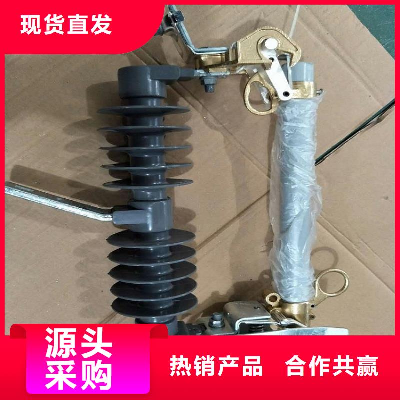 熔断器六氟化硫断路器N年生产经验