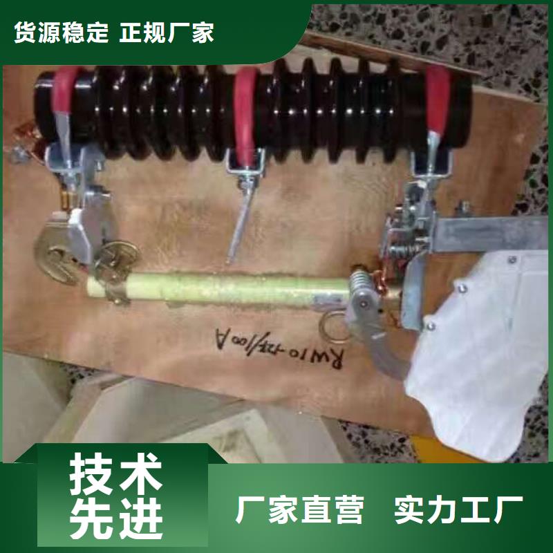 熔断器金属氧化物避雷器严格把控质量