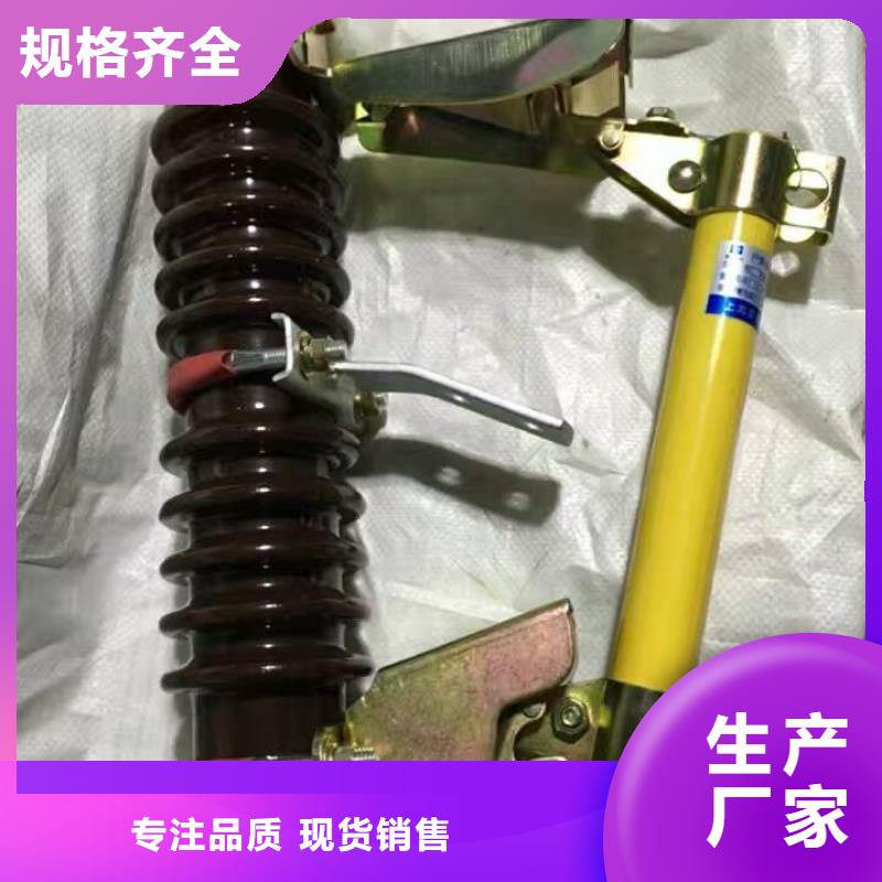 熔断器高压真空断路器今日新品