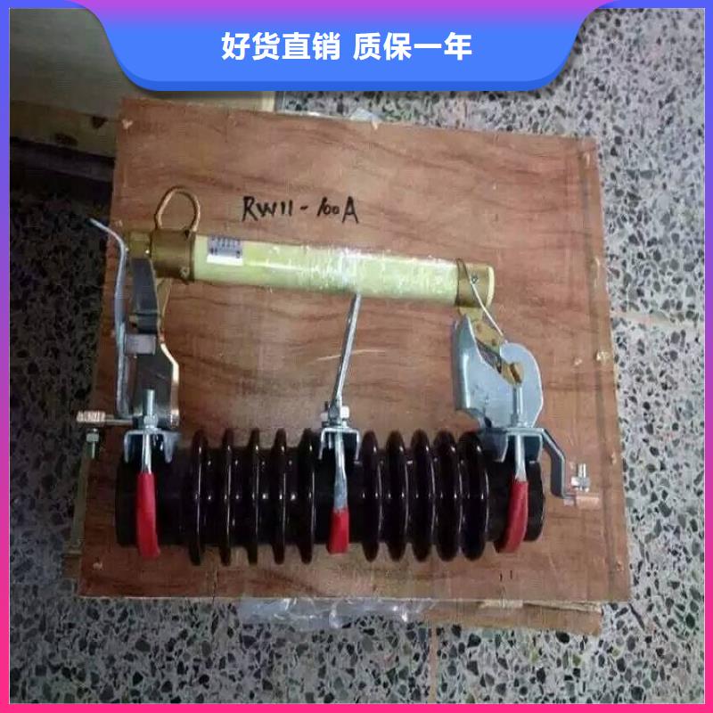 熔断器金属氧化物避雷器严格把控质量