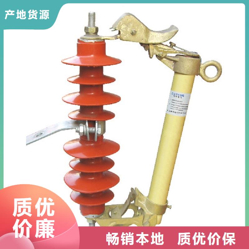 熔断器金属氧化物避雷器严格把控质量