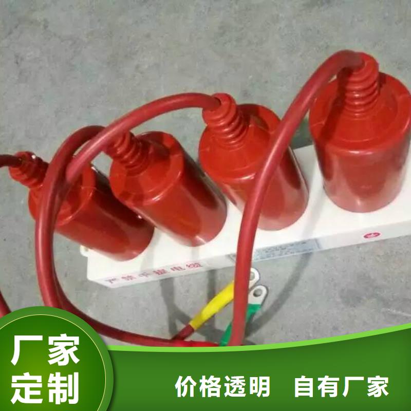 高压负荷开关视频-高压负荷开关-内蒙古包头市【同城】制造商-通辽|阿拉善|呼伦贝尔|锡林郭勒|赤峰|鄂尔多斯